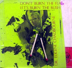 Chadbourne, Eugene: Don't Burn the Flag, Let's Burn the Bush