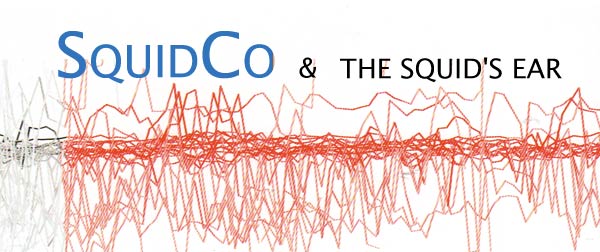 Squidco & The Squid's Ear