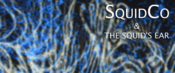 Squidco & The Squid's Ear