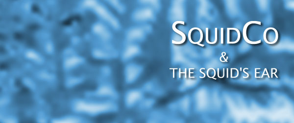 Squidco & The Squid's Ear