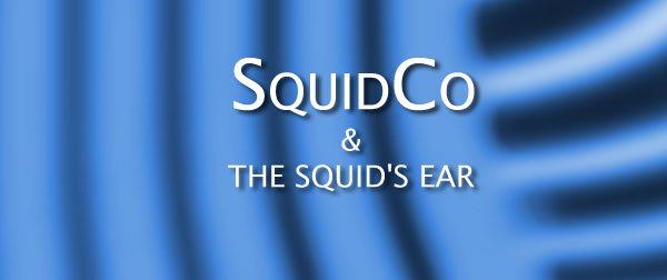 Squidco & The Squid's Ear