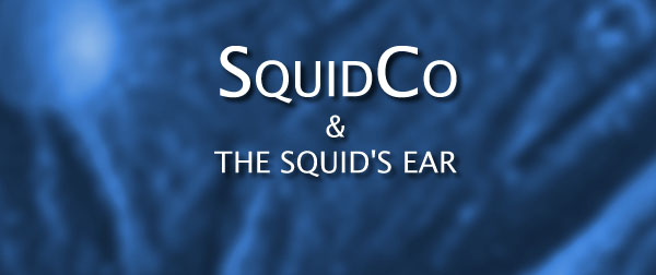 Squidco & The Squid's Ear