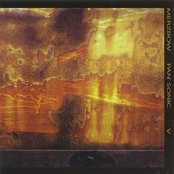 Merzbow/Pan Sonic & Various Artists: V / Ikebana: Merzbow's Amlux Rebuilt, Reused and Recycled (Victo / Important Records)