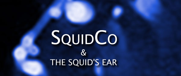 Squidco & The Squid's Ear