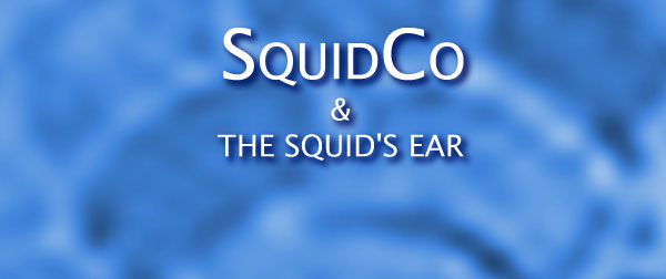 Squidco & The Squid's Ear