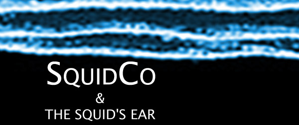 Squidco & The Squid's Ear