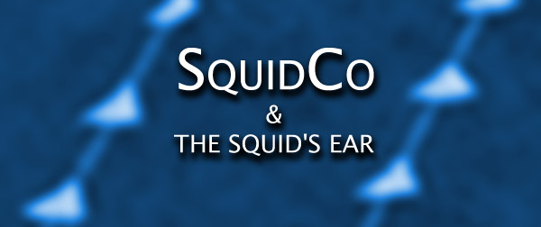 Squidco & The Squid's Ear